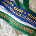 National Fleece Competition
